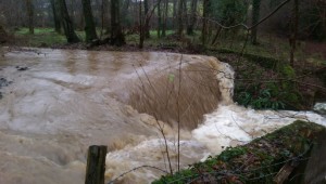 Moons Mill Rivers of Hell