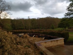 Moons Mill Yew Hedge Cloud Pruning