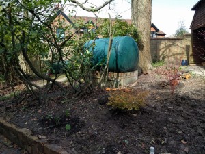 Moons Mill Kitchen Garden Acers